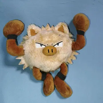 봉제 인형 Pokemon fit 오코리자루