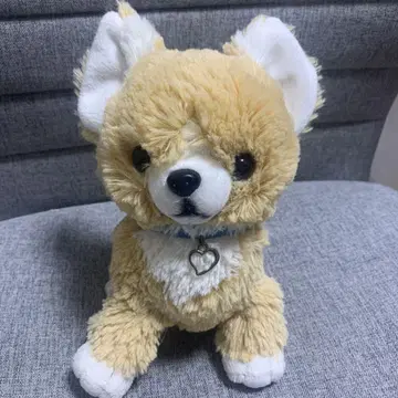 레어 산 레몬 봉제 인형 PUPS 치와와