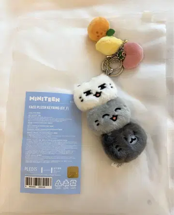SEVENTEEN 준 MINITEEN 팝업 키링