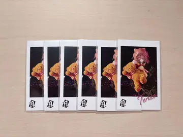 테루토군 포토 카드 고양이 귀