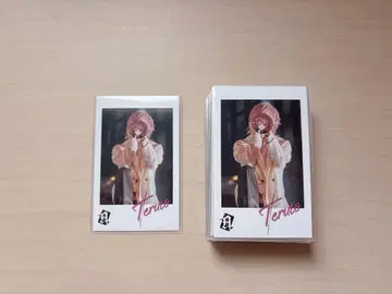 테루토군 포토 카드