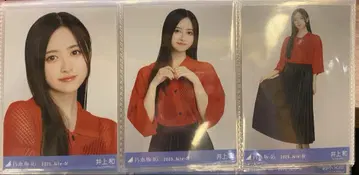 이노우에 카즈 노기자카46 시즈오카 공연 메쉬 니트 브로마이드 3종 컴프