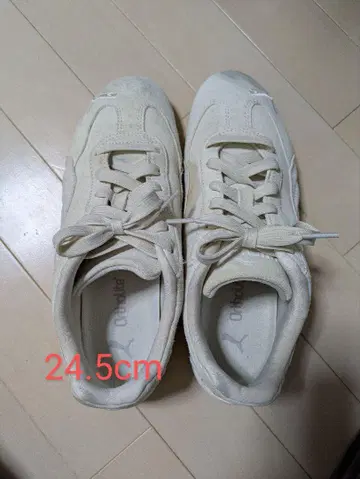 Puma 화이트 스니커즈 24.5cm 스피도 캣