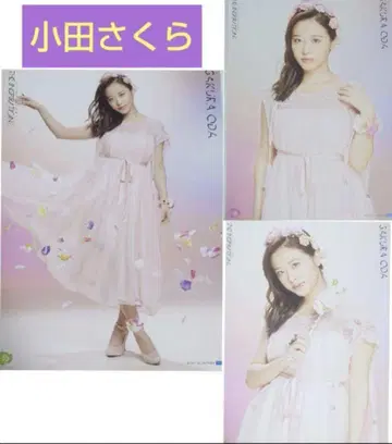 모닝구 무스메. '25 오다 사쿠라 핑포스 THE INSPIRATION!