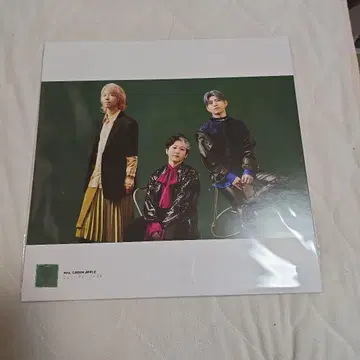 Mrs. GREEN APPLE 사진집과 혜택 세트