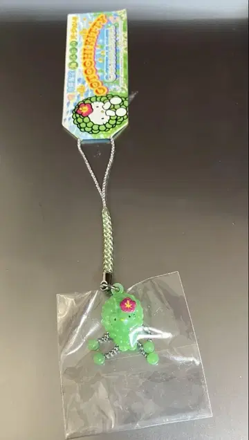 지역 키티 오키나와 한정판 바다 포도 네츠케