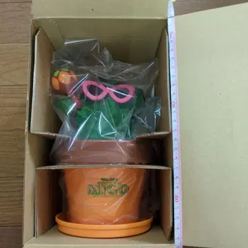 춤추는 미고 마라카스 C 미작동 확인