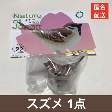일본의 생물 03 Nature of Japan 참새 1개