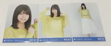 토미사토 리나 노기자카46 시즈오카 공연 메쉬 니트 브로마이드 3종 컴프