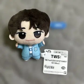 TWS 플레디스 엔터테인먼트 신유