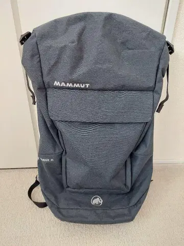 Mammut Trion 25 그레이 백팩