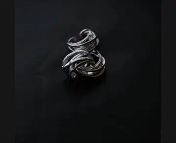 organic ring CTHY HERITAGE 로듐 실버 13호