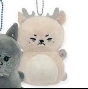 여왕벌 qb BEAST MINI 봉제 인형 히바리군 미사용 새상품