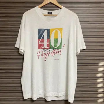 90s 프룻 오브 더 룸 빈티지 티셔츠