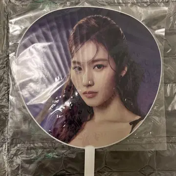 TWICE 사나 부채