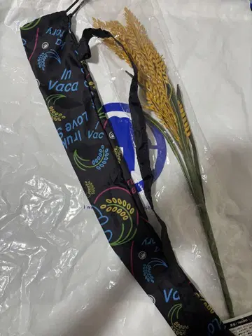 렉시 빛나는 벼 이삭 케이스 세트