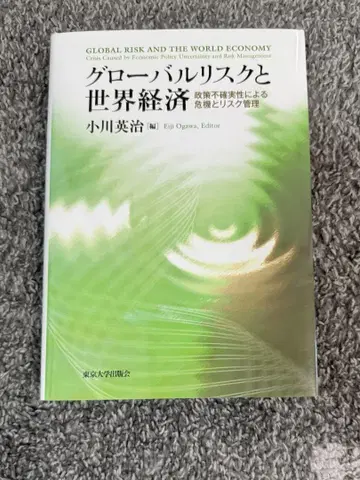 글로벌 리스크와 세계 경제