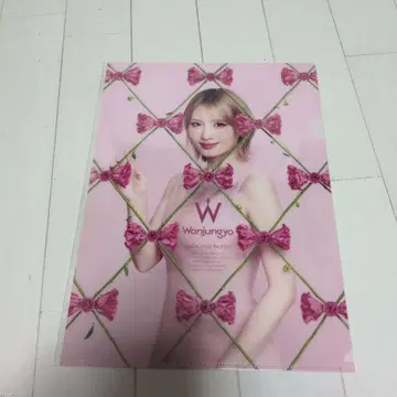 원정교 TWICE 허벅지 momo 클리어 파일