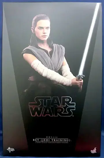 HOTTOYS 영화 명작 레이 (제다이 훈련) MMS446