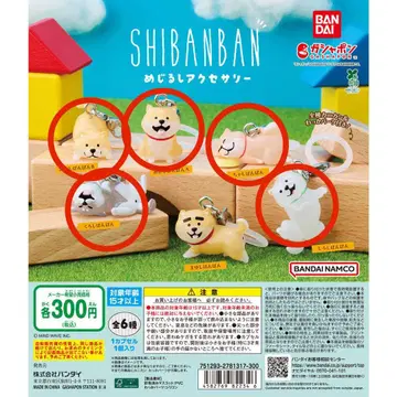 5종 세트 SHIBANBAN 메지루시 액세서리 시반반