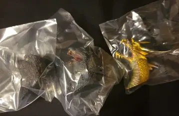 고질라 제일복권 G상 몬스터 헤드 마그넷 3종 세트