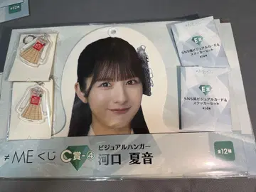 카와구치 나츠네 C상 D상 E상 덤 세트