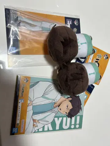 하이큐 오이카와 토오루 제일복권