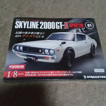 스카이라인 2000 GT-R KPGC110 1/8 81