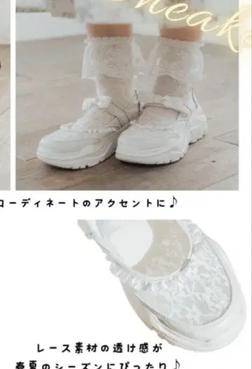 아오키 미사코 시마무라