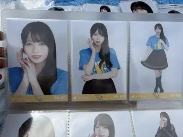 노기자카46 브로마이드 시즈오카 라이브 T 오카모토 히나 컴프