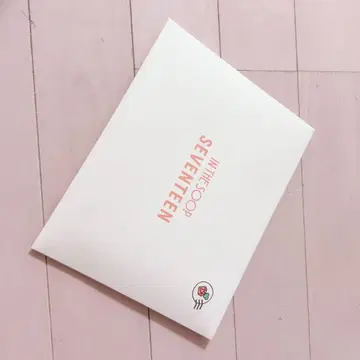SEVENTEEN IN THE SOOP 포토 카드 세트