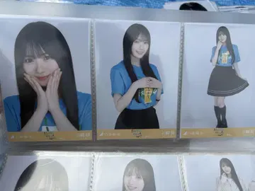 노기자카46 브로마이드 시즈오카 라이브 T 카와사키 사쿠라 컴프