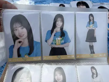 노기자카46 브로마이드 시즈오카 라이브 T 아타고 코코로 컴프
