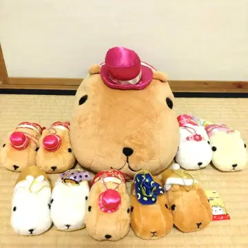 카피바라 씨 봉제 인형 묶음 판매 드레스 코드 망토 햇