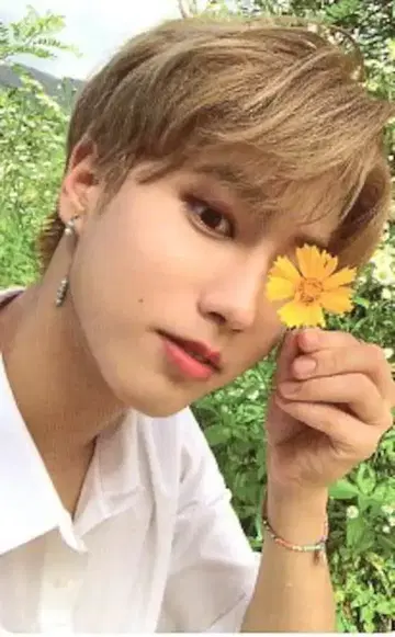 StrayKids NOEASY HAN 트레이딩 카드 꽃