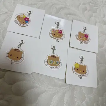 총 6종 아크릴 참 일광화상 키티 다이소 세리아