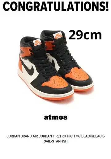 AIR JORDAN 1 RETRO HIGH OG 29cm