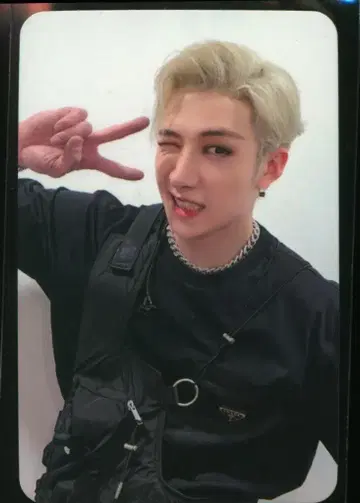 스트레이키즈 쇼피 VC 방찬 오디너리