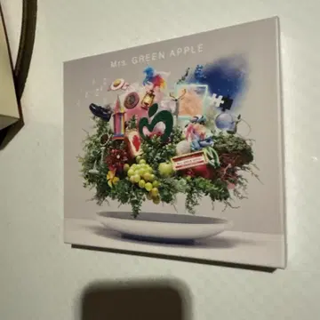 미스 그린 애플 10주년 기념 베스트