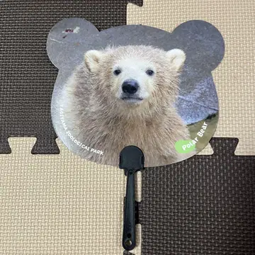 야기야마 동물공원 북극곰 쌍둥이 야기야마 동물원 부채