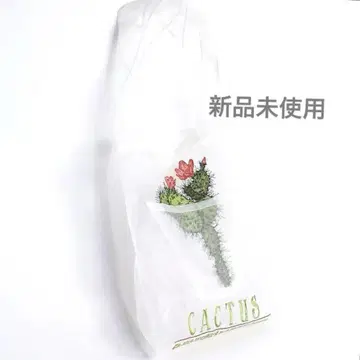 브리짓 타나카 선인장 패턴 오간자 숄더백 미사용 새상품