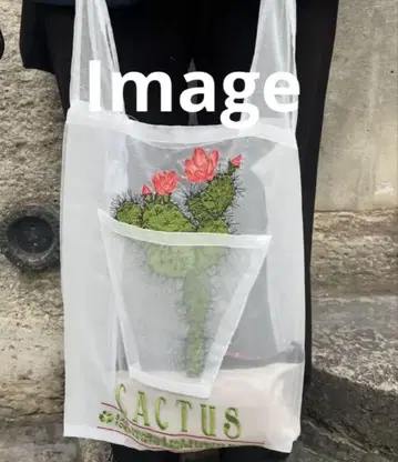 브리짓 타나카 선인장 패턴 오간자 숄더백 미사용 새상품