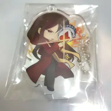 FGO 공명 아크링 키링