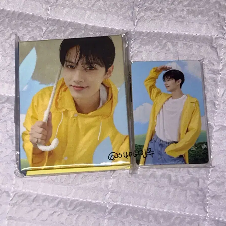 덤폭 처분) 세븐틴 음악의신 캐럿반 준 문준휘 양도 판매