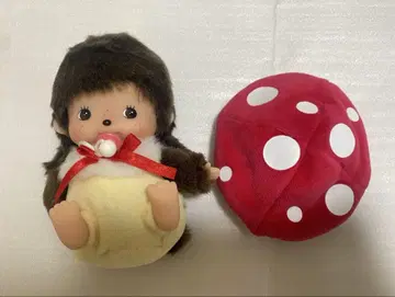 버섯 베비치 세키구치 몬치치