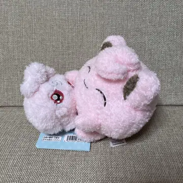 포켓몬 부루부루... 뭉어! 봉제 인형 나키베소 푸딩 & 푸딩