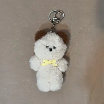 FOITY 곰 키링 한국