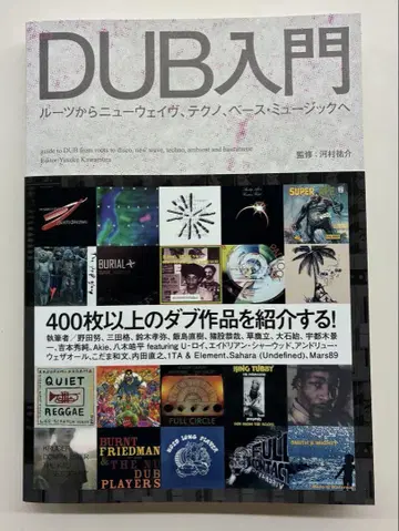 DUB 입문