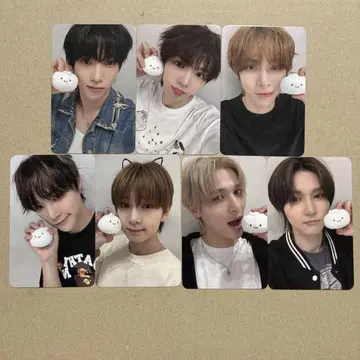 ampersandone 컴플리트 트레이딩 카드 everline 영통