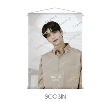 TXT MUSEUM 2024 태피스트리 수빈 SOOBIN